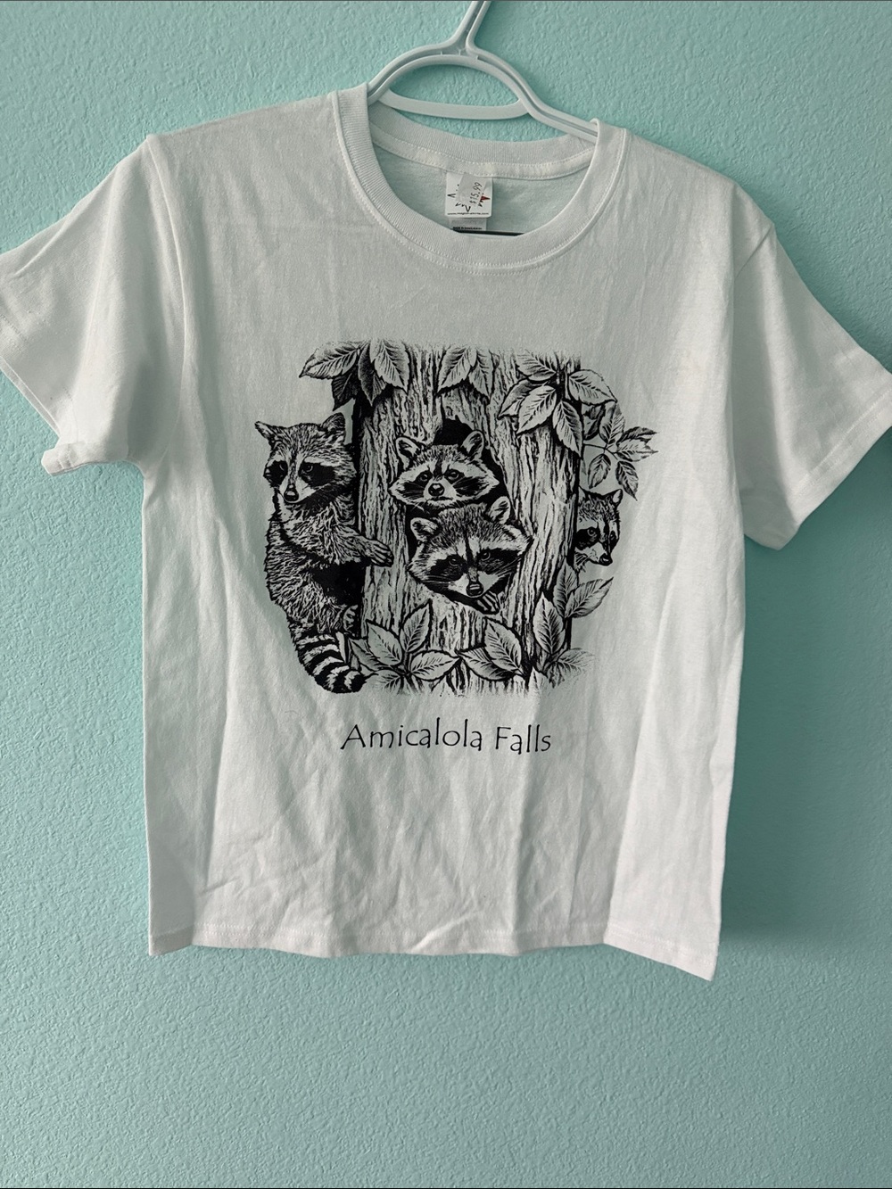 Amicalola Falls Youth Medium TShirt